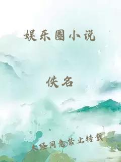 娛樂圈小說