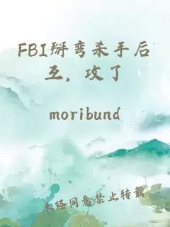 FBI掰彎殺手后互，攻了